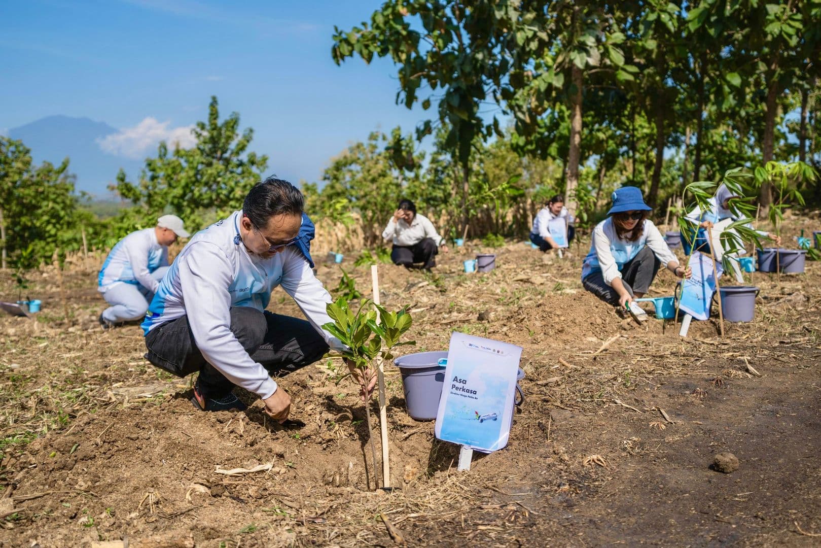 Peduli Lingkungan, Pelita Air Bersama Pertamina Tanam 10 Ribu Pohon di Jatim